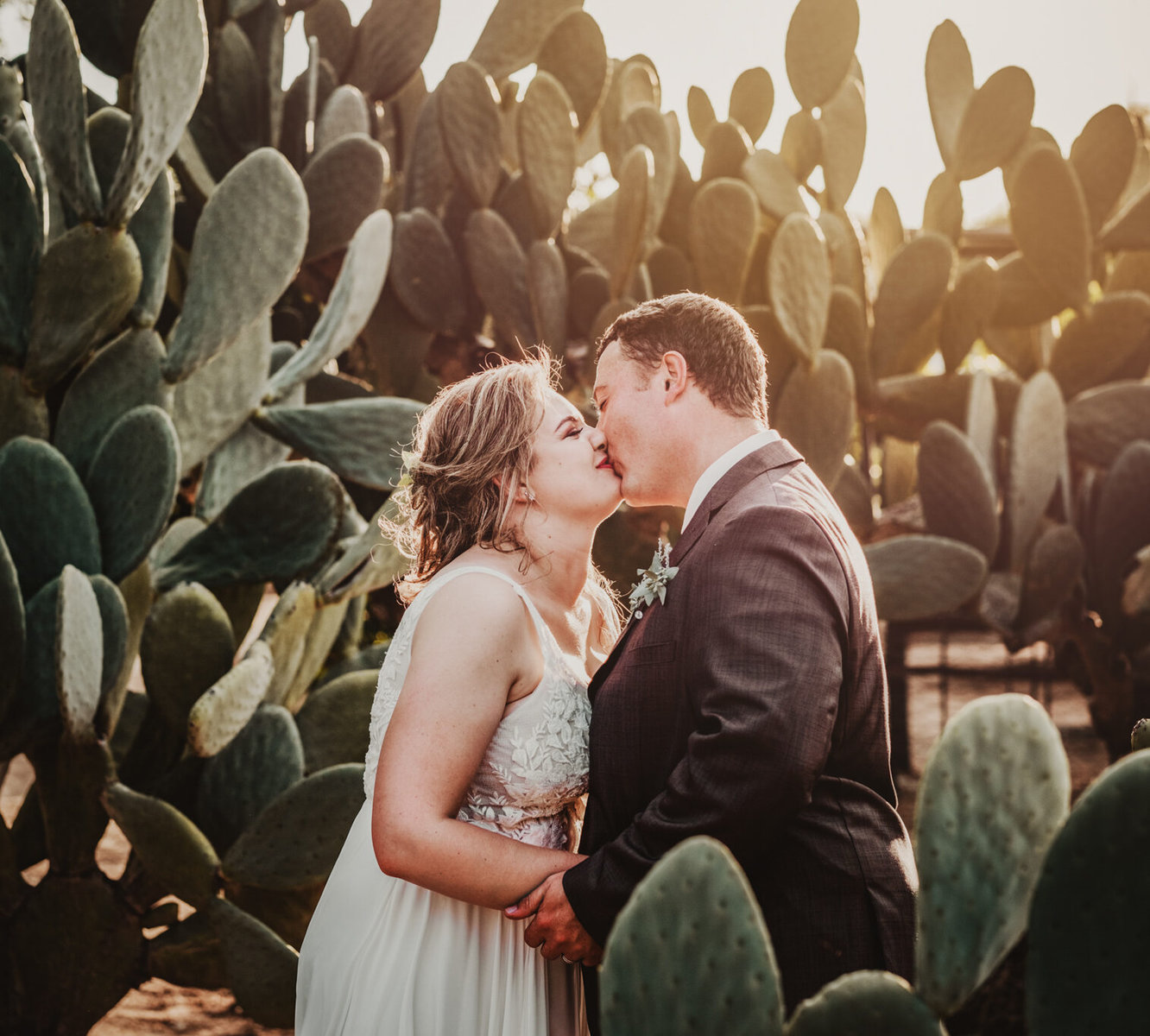 Wedding-photography LR (27 of 151) Bride Heimari giggles as her husband. Mani kisses her in between the cactus bushes.